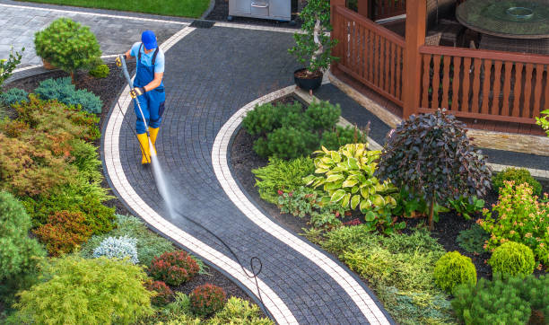 Best Local Pressure Washing Services  in Highlandville, MO